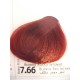 envie color 7.66 biondo rosso intenso